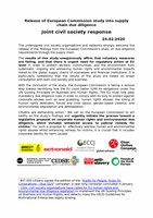 Joint civil society response to the European Commission study into supply chain due diligence