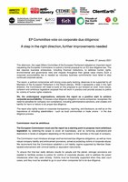 Joint Statement on the EP Committee vote on corporate due diligence