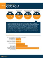 Georgia Factsheet 2014