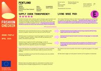 Pentland.pdf