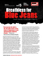 Executive Summary: Breathless for Blue Jeans