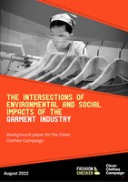 The Intersections of Environmental and Social Impacts of the Garment Industry (2022)